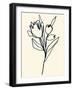 Floral Marker II-June Vess-Framed Art Print