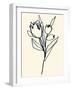 Floral Marker II-June Vess-Framed Art Print