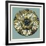 Floral Medallion V-Vision Studio-Framed Premium Giclee Print