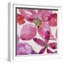 Floral Medley II-Belle Poesia-Framed Giclee Print