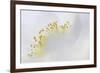 Floral Mirage-Wild Wonders of Europe-Framed Giclee Print