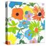 Floral Mix 1-Jan Weiss-Stretched Canvas