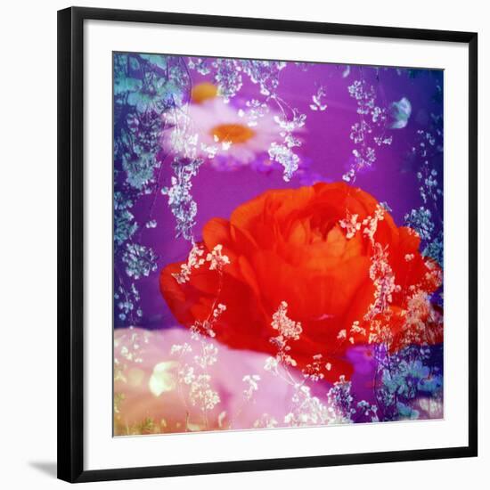 Floral Montage of Flowers-Alaya Gadeh-Framed Photographic Print