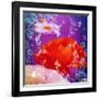 Floral Montage of Flowers-Alaya Gadeh-Framed Photographic Print