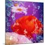Floral Montage of Flowers-Alaya Gadeh-Mounted Photographic Print