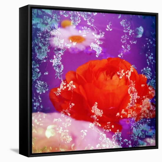 Floral Montage of Flowers-Alaya Gadeh-Framed Stretched Canvas