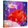 Floral Montage of Flowers-Alaya Gadeh-Stretched Canvas