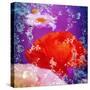 Floral Montage of Flowers-Alaya Gadeh-Stretched Canvas