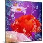 Floral Montage of Flowers-Alaya Gadeh-Mounted Photographic Print