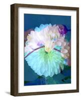 Floral Montage, Photograph Layer Work of a Dahlia and Orchid-Alaya Gadeh-Framed Photographic Print