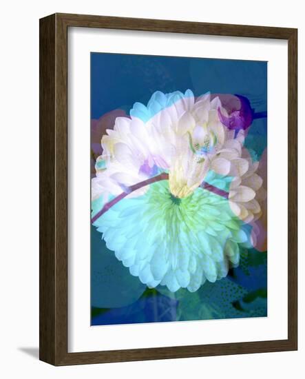 Floral Montage, Photograph Layer Work of a Dahlia and Orchid-Alaya Gadeh-Framed Photographic Print