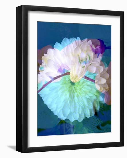 Floral Montage, Photograph Layer Work of a Dahlia and Orchid-Alaya Gadeh-Framed Photographic Print