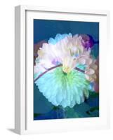 Floral Montage, Photograph Layer Work of a Dahlia and Orchid-Alaya Gadeh-Framed Photographic Print