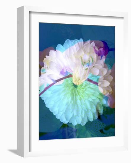 Floral Montage, Photograph Layer Work of a Dahlia and Orchid-Alaya Gadeh-Framed Photographic Print