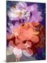 Floral Montage, Photographic Layer Work-Alaya Gadeh-Mounted Photographic Print