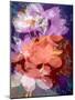Floral Montage, Photographic Layer Work-Alaya Gadeh-Mounted Photographic Print