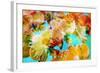 Floral Montage-Alaya Gadeh-Framed Photographic Print