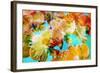 Floral Montage-Alaya Gadeh-Framed Photographic Print