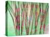 Floral Montage-Alaya Gadeh-Stretched Canvas