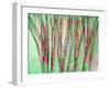 Floral Montage-Alaya Gadeh-Framed Photographic Print