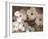 Floral Montage-Alaya Gadeh-Framed Photographic Print