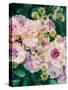 Floral Montage-Alaya Gadeh-Stretched Canvas