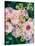 Floral Montage-Alaya Gadeh-Stretched Canvas