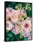 Floral Montage-Alaya Gadeh-Framed Stretched Canvas