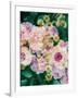 Floral Montage-Alaya Gadeh-Framed Photographic Print