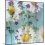 Floral Montage-Alaya Gadeh-Mounted Photographic Print