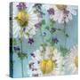 Floral Montage-Alaya Gadeh-Stretched Canvas