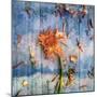 Floral Montage-Alaya Gadeh-Mounted Photographic Print