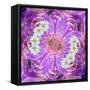 Floral Montage-Alaya Gadeh-Framed Stretched Canvas