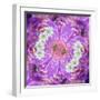 Floral Montage-Alaya Gadeh-Framed Photographic Print