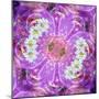 Floral Montage-Alaya Gadeh-Mounted Photographic Print