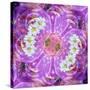 Floral Montage-Alaya Gadeh-Stretched Canvas