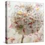 Floral Montage-Alaya Gadeh-Stretched Canvas