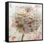 Floral Montage-Alaya Gadeh-Framed Stretched Canvas