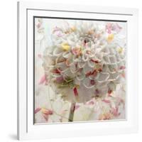 Floral Montage-Alaya Gadeh-Framed Photographic Print