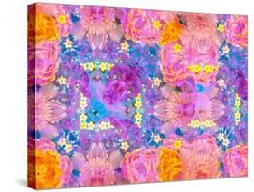 Floral Montage-Alaya Gadeh-Stretched Canvas