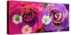 Floral Montages of Rose Blossoms-Alaya Gadeh-Stretched Canvas