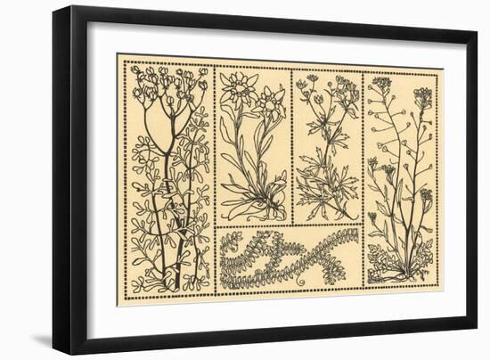 Floral Motifs-null-Framed Art Print