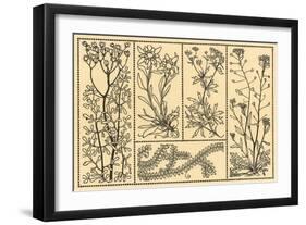 Floral Motifs-null-Framed Art Print