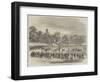 Floral, Musical, and Athletic Festival at Springfield Park, Lancaster-null-Framed Giclee Print