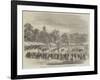 Floral, Musical, and Athletic Festival at Springfield Park, Lancaster-null-Framed Giclee Print