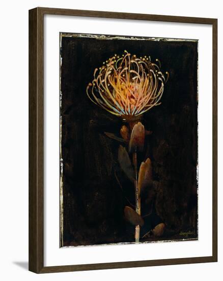 Floral Negative I-Douglas-Framed Giclee Print