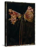 Floral Negative II-Douglas-Stretched Canvas