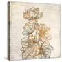 Floral Notes 2-Kimberly Allen-Stretched Canvas