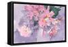 Floral Occasion II-Samuel Dixon-Framed Stretched Canvas