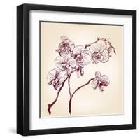 Floral Orchid Hand Drawn Vector-VladisChern-Framed Art Print